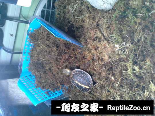 102432q0q5fi458cis16in.jpg