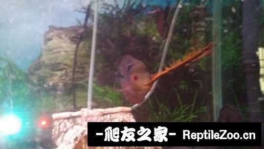 102508uea5mhwx6aqoonoz.jpg