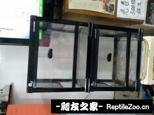 102555dgijj6regilsq6rs.jpg