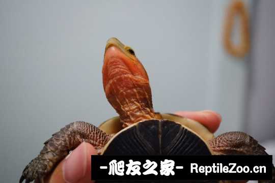 102713p8pjczo92az25hxa.jpg