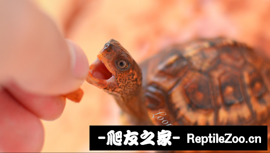 102821wuypun3cnzn7l4ss.jpg