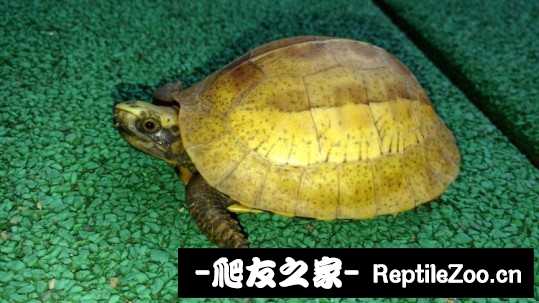 102838bj5v03nx303oofxb.jpg
