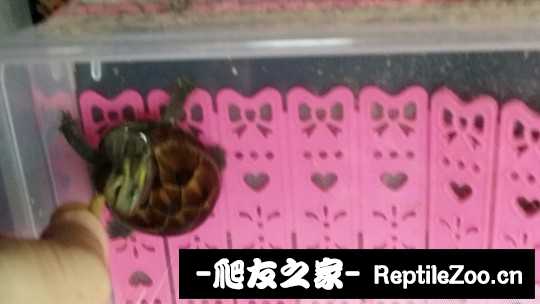 102907jzi0hhzw7fgzb1zp.jpg
