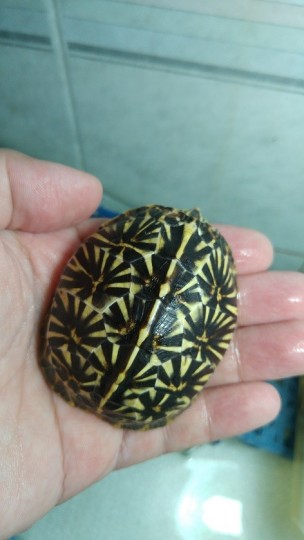 103035tgqgksgddfrmfqw0.jpg