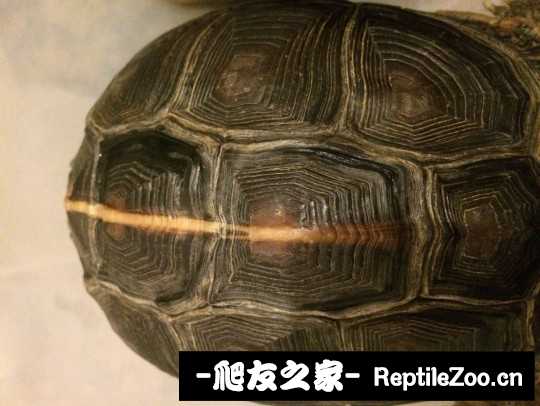 103049r30et9wapvmfxceh.jpg