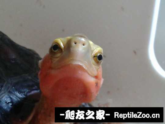 103217n73bs7blbl37nbqb.jpg
