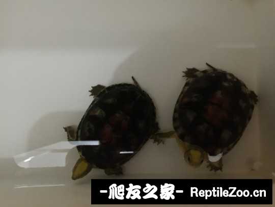 103227g8uddu48xtwwq5uk.jpg