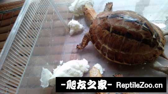 103416tq49o3omoo23uml2.jpg