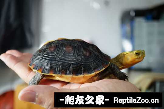 103421b3kcl63q33dkq99q.jpg