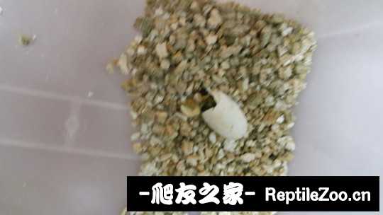 112049ot6s55h85885mr6r.jpg