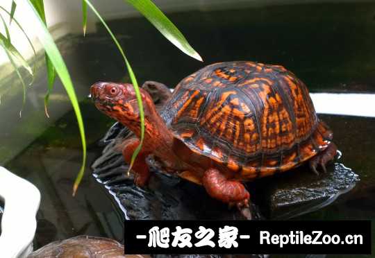 112249mpyl2oep5b5yf54t.jpg