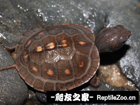 112255l6z5bxxww5a5aalo.jpg