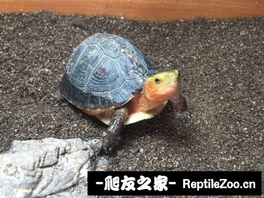 112319zkqqyzsnwcnov4yc.jpg