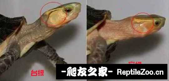 112324m0vkul0vr00ow0jw.jpeg
