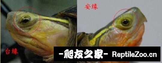 112325ahqxg17x1d6dqq6j.jpeg
