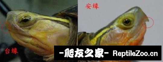 112325sjk78y8iyeojwdjf.jpeg