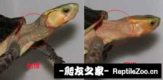 112326ufpwphhcy9hz82hc.jpeg