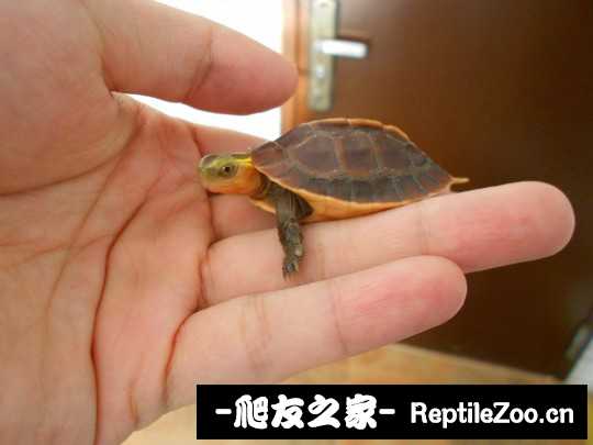 112334z2l2db2dhpjdpbtl.jpg
