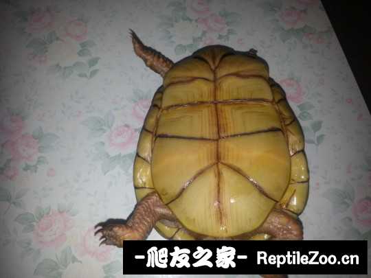 112407yt3llkj29plojlpo.jpg
