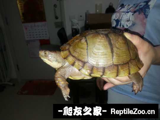 112408so6vd0knbhkmvb5h.jpg
