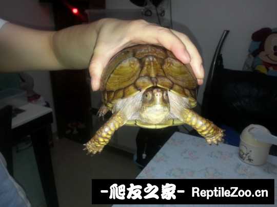112408t004befdke05vxxe.jpg