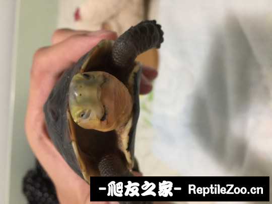 112412txas3luaqbaml9gn.jpg