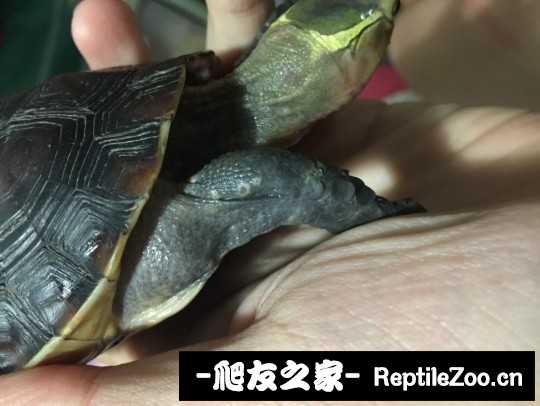 112413d2x1fdrr11x29qjr.jpg