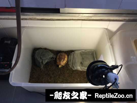 112432p4ecrptxvcrrtbte.jpg