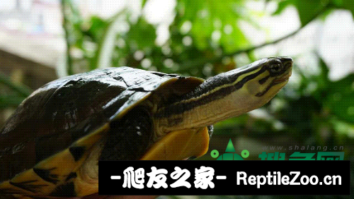 112507rmr1thexkqxwtkye.jpg
