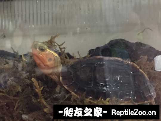 112514qqo2awwzgt6gbgtm.jpg