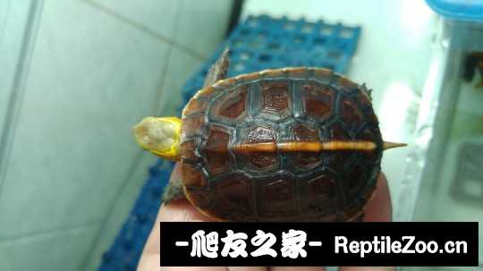 112546o22xa2w5aiy7inyp.jpg