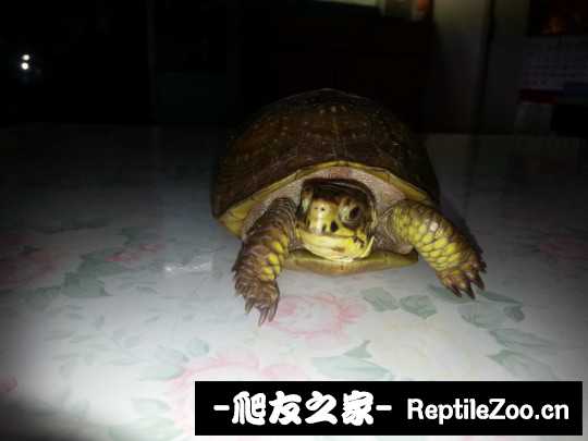 112737iet0cbewclggaf03.jpg