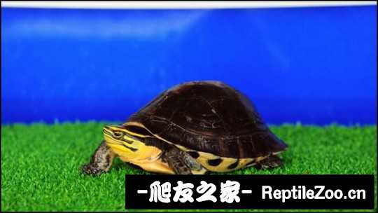 112746ymkex0iiy9dmkzid.jpg