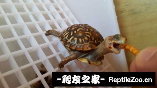 112849q9accc35jln0zu8u.jpg