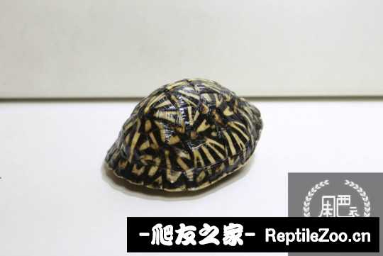 112900wf1mm7apmppp2fjm.jpg