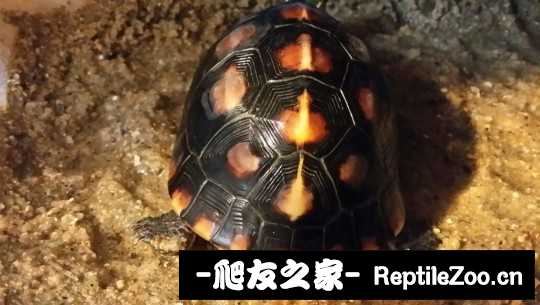 113015jjg1iilizwbiyyd1.jpg