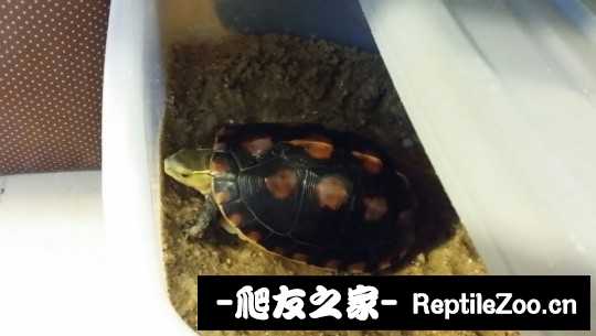 113017j3zeehss2t3exxze.jpg