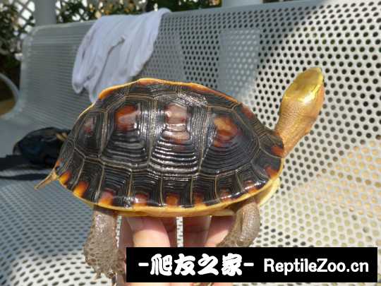 113031oh02qpohtc0poiku.jpg