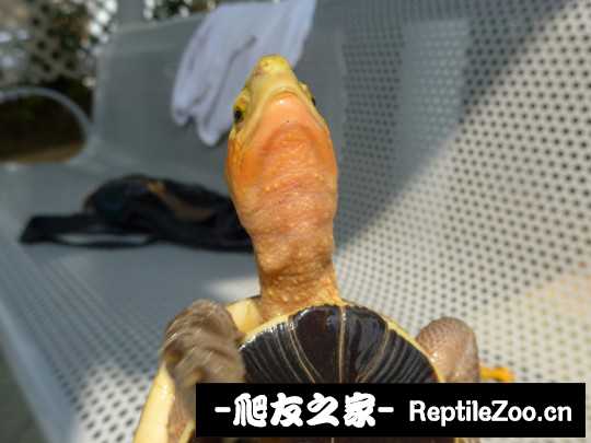 113034bmzrpekb855zbssq.jpg