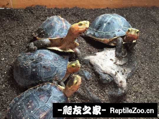 113107xpuqmp3omxoco2pp.jpg