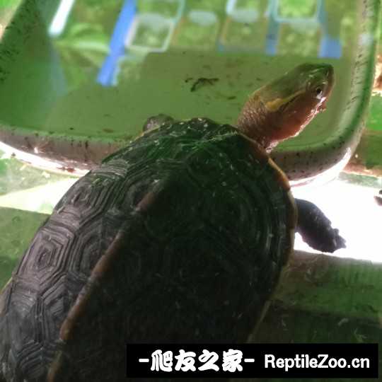 113116g96q7iti7hrthf6s.jpg