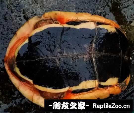113121zeircg3jckhpclgc.jpg