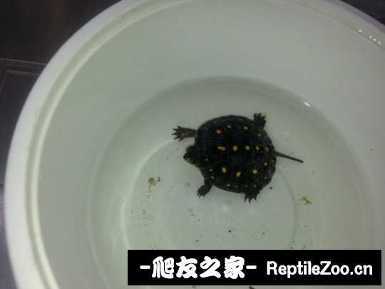 113139ynn8h7gladfzyme7.jpg