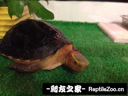 113204hwkynnypp2wwjyhh.jpg
