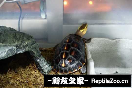 113213ruccddm7mfcqx2cd.jpg