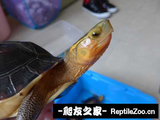 113406n3xchx3l5flergzh.jpg