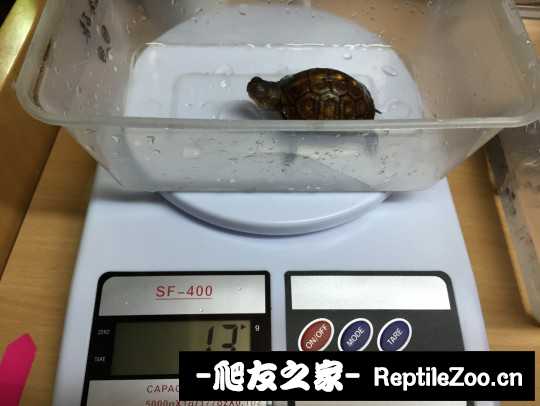 114348c532yeyos2imczz2.jpg