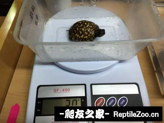 114348x2ic9vqh4234mir3.jpg