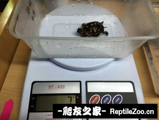 114349tkojopzovz3jp1lz.jpg