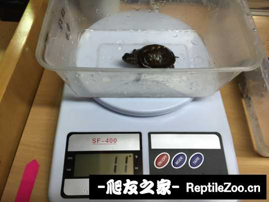 114349uaipzmmq5xoq14qo.jpg